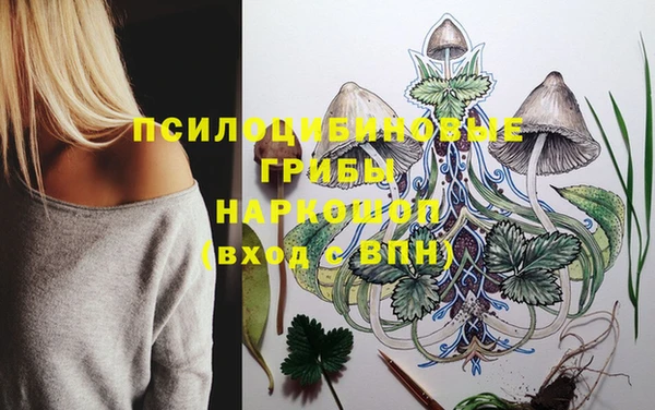 Альфа ПВП Иннополис