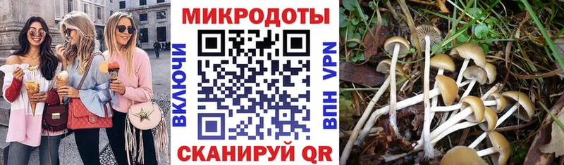 Галлюциногенные грибы прущие грибы  Купить закладки  Нурлат 